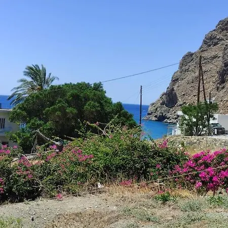 Katerina D * Λέντας